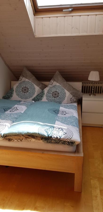 Appartment Sonnenblick Dielheim ภายนอก รูปภาพ